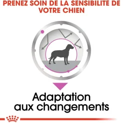 Royal Canin Wet Chien Relax Care Mousse - 12 x 85 g
