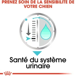 Royal Canin Wet Chien Urinary Care Mousse - 12 x 85 g