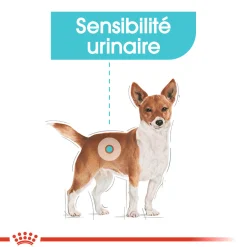 Royal Canin Wet Chien Urinary Care Mousse - 12 x 85 g