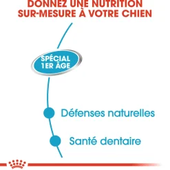 Royal Canin Wet Starter mousse