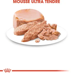 Royal Canin Wet Starter mousse