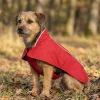 Ruffwear Aira rouge, XXS