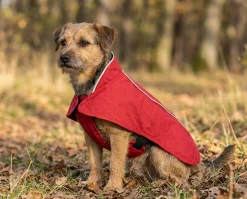Ruffwear Aira rouge, XXS