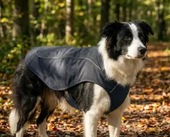 Ruffwear K9 Overcoat gris, XXS