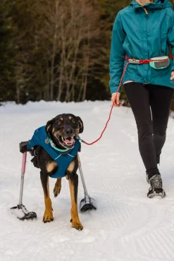 Ruffwear Quinzee bleu, M