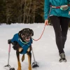 Ruffwear Quinzee gris, XS
