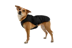 Ruffwear Quinzee Obisdian Black, L