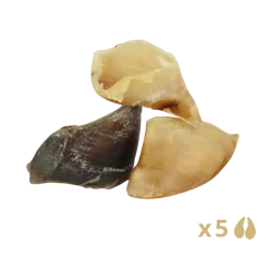 Sabot de vache / veau, lot de 100 pièces