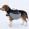 Sac de bat Loisir Small