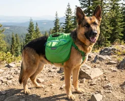 Sac de bat Ruffwear Approach Pack vert, Large