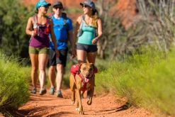 Sac de bat Ruffwear Singletrak pack, Medium