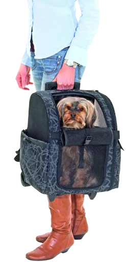 Sac de transport Trolley luxe