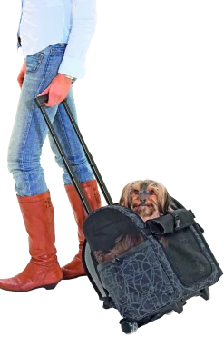 Sac de transport Trolley luxe