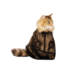 Sac en filet pour toilettage chat