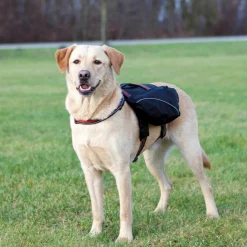 Sacoche de transport pour chien Taille L