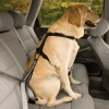 Sangle de sécurité auto KURGO
