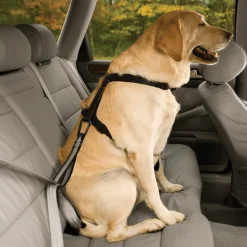 Sangle de sécurité auto KURGO