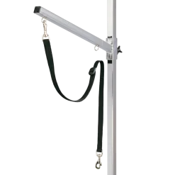 Sangle ventrale pour potence de toilettage
