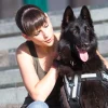 Sangle Y JULIUS K9 taille 1 - 2 (M)