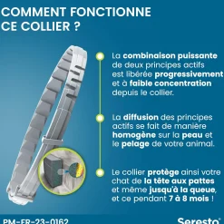Seresto, collier anti parasitaire pour petit chien
