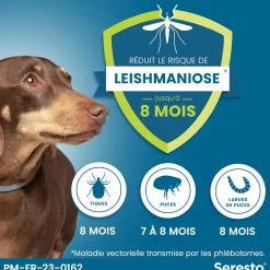 Seresto, collier anti parasitaire pour petit chien