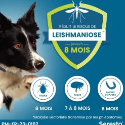 Seresto, collier anti parasitaire pour grand chien