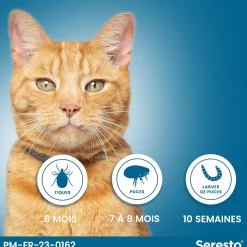 Seresto, collier anti parasitaire pour chat