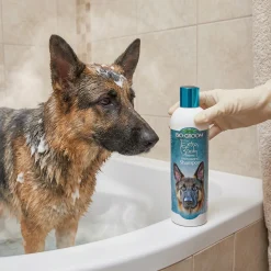 Shampooing Bior Groom Extra Body, pour chien de races à double pelage, 355 ml