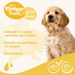 Shampooing chiots 250 ml