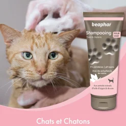 Shampooing Empreinte chat et chaton 200 ml