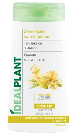 Shampooing IdéalPlant au tea tree oil- 250 ml