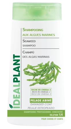 Shampooing IdéalPlant aux algues marines - 250 ml