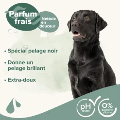 Shampooing pelage foncé 250 ml (pelage noir)