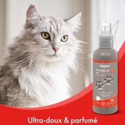 Shampooing sec pour chat 200 ml