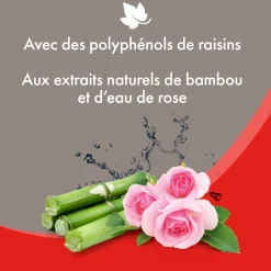Shampooing sec pour chat 200 ml