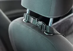 Siège auto pour chien