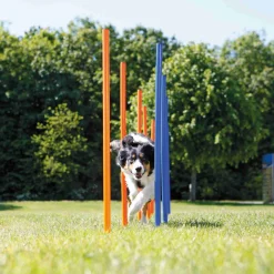Slalom Agility 12 piquets