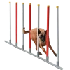 Slalom Agility 12 poteaux, blanc / rouge