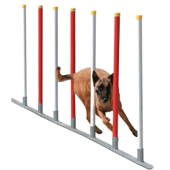 Slalom Agility 12 poteaux, blanc / rouge