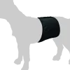 Slip d'incontinence pour mâle, 59 cm x 19 cm