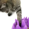 Slow Feeders pour chat