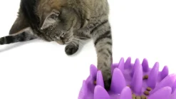 Slow Feeders pour chat