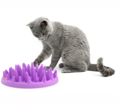 Slow Feeders pour chat