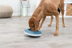 Slow Feeding Gamelle Rocking Bowl