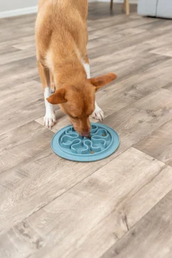 Slow Feeding Set de table, en TPE, 24 cm, divers
