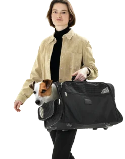 Smart Trolley (sac à dos + roulettes)
