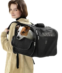 Smart Trolley (sac à dos + roulettes)