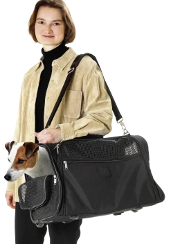 Smart Trolley (sac à dos + roulettes)