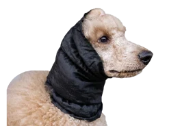 Snood Large, noir