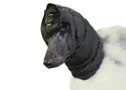 Snood Small, noir